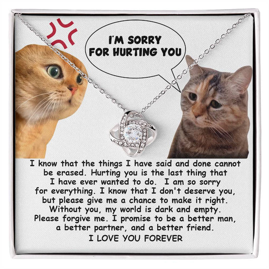 I'm sorry for hurting you/ Love knot necklace