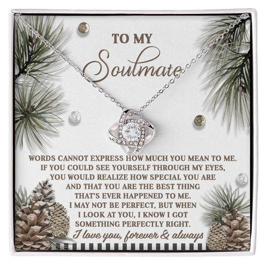 To my soulmate/ Words cannot express how much you mean to me/ Love knot necklace