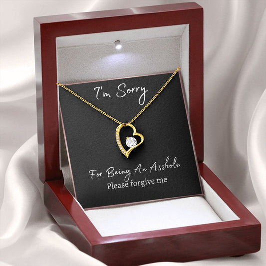 I'm Sorry/I'm sorry for being an asshole, Please forgive me/Forever Love Necklace